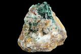 Atacamite & Quartz Crystal Association - Peru #98162-1